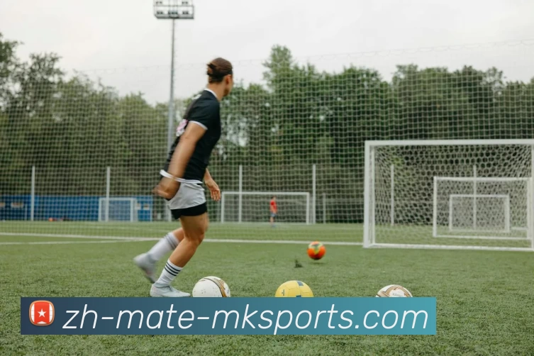 MK体育平台生态图